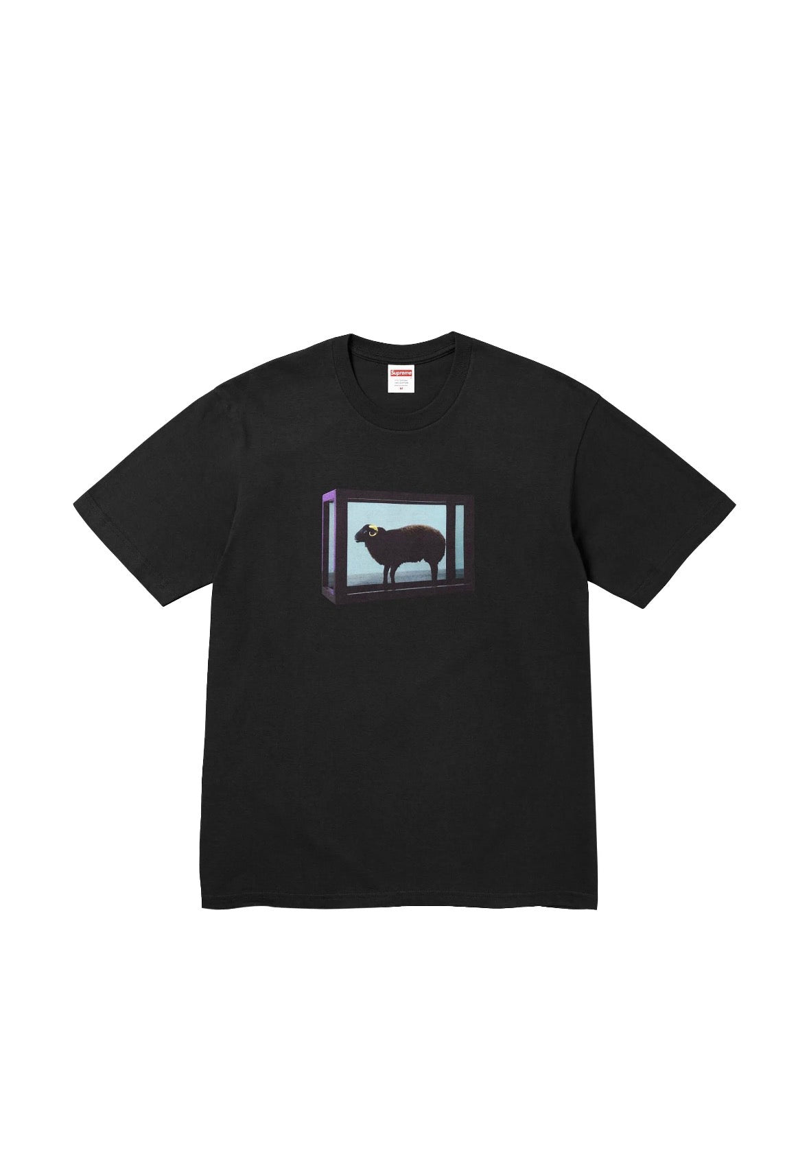 Shirt Supreme x Damien Hirst