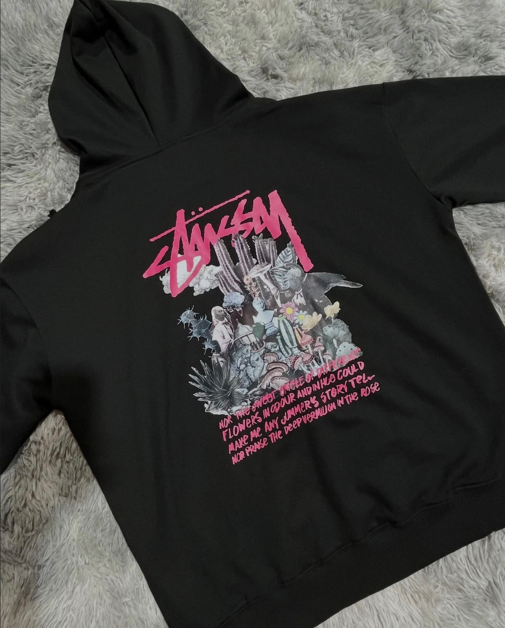 Hoodie Stussy